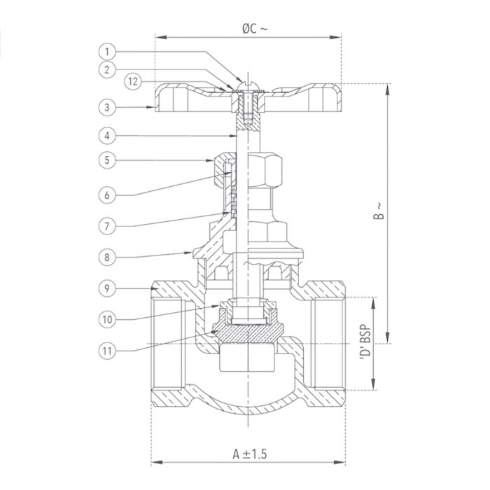 Globe Valve 25 mm