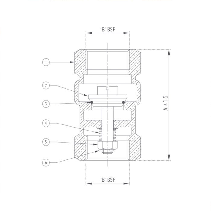 Check Valve 25 mm