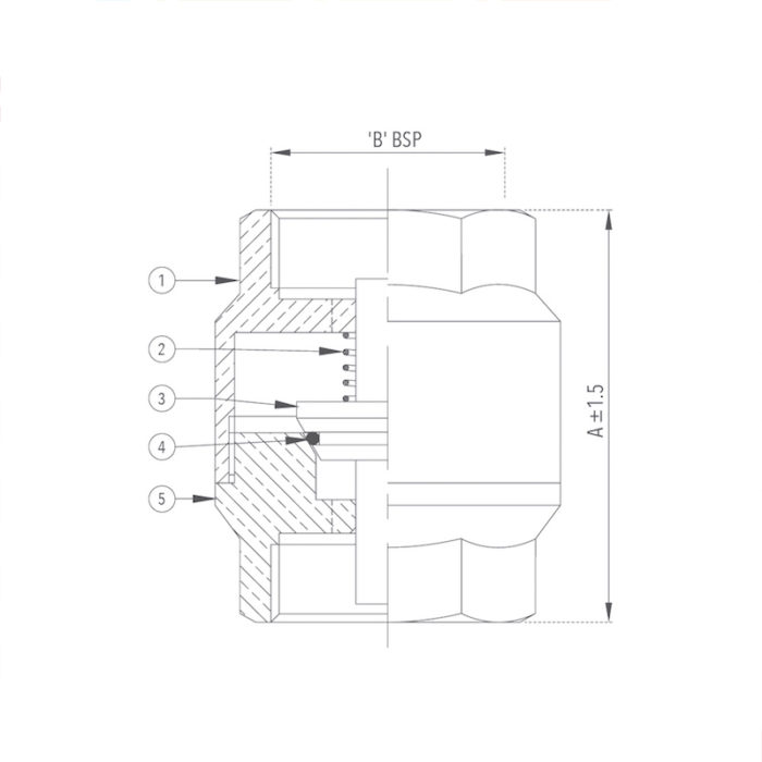 Check Valve 15 mm