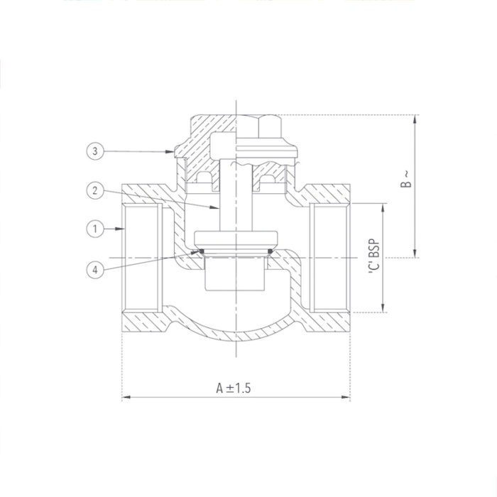 Check Valve 8 mm