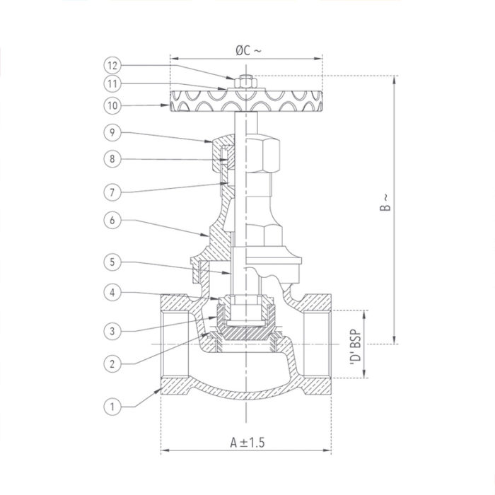 Globe Valve 25 mm