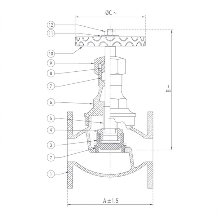 Globe Valve 25 mm