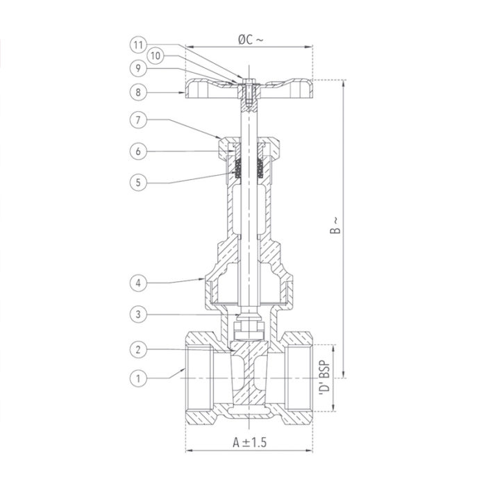 Gate Valve Rising Stem 25 mm