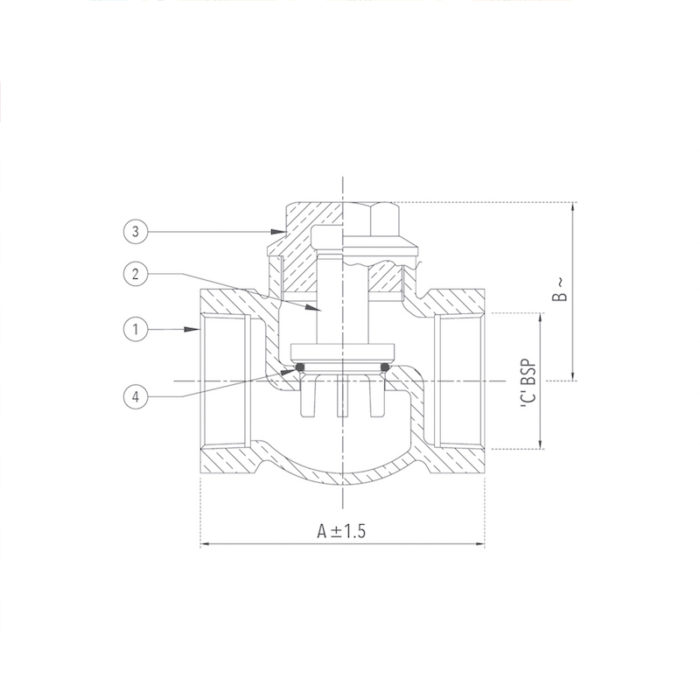 Check Valve 20 mm