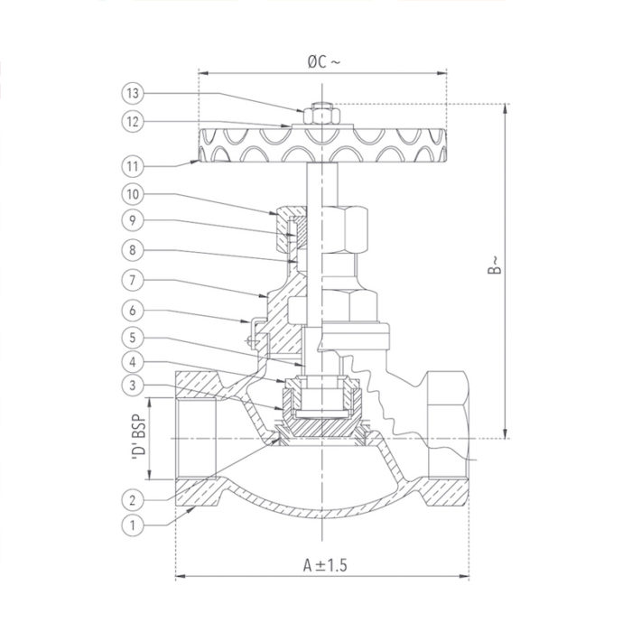 Globe Steam Stop Valve 25 mm