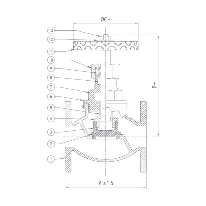 Globe Steam Stop Valve 25 mm