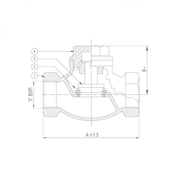 Check Valve 20 mm