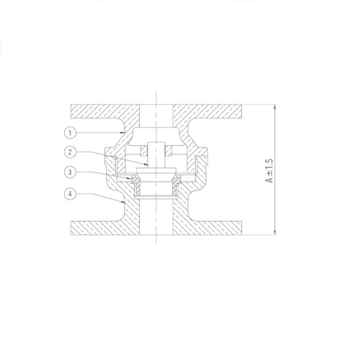 Check Valve 25 mm