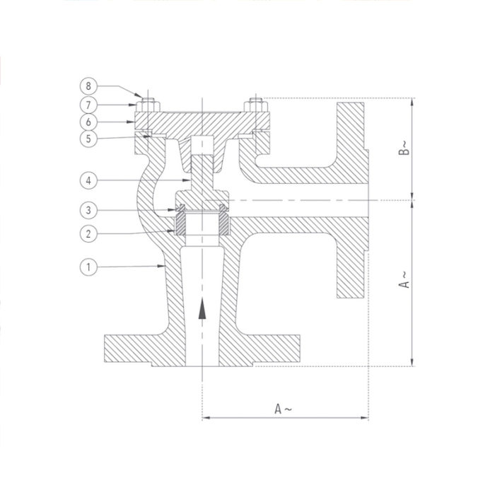 Check Valve Angle Pattern 25 mm