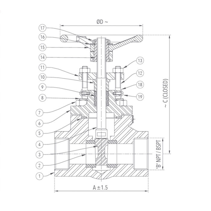 Gate Valve 20 mm