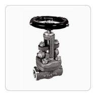 Forged Steel Globe Valve Class-800 Standard Bore